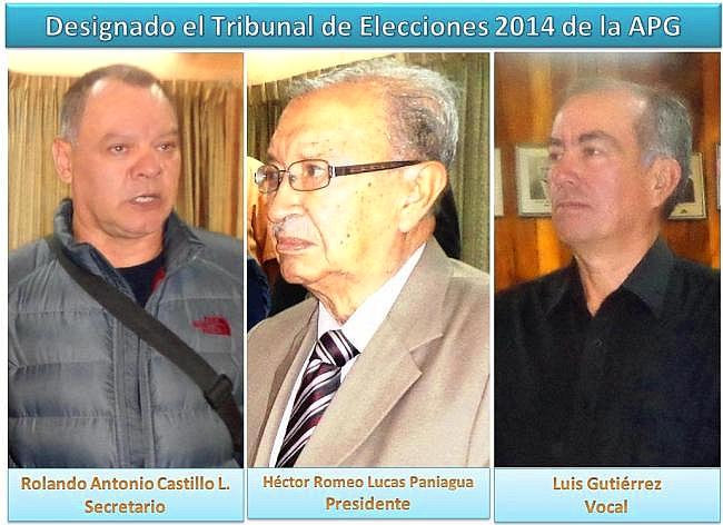 TRIBUNAL DE ELECIONES.2014 APG